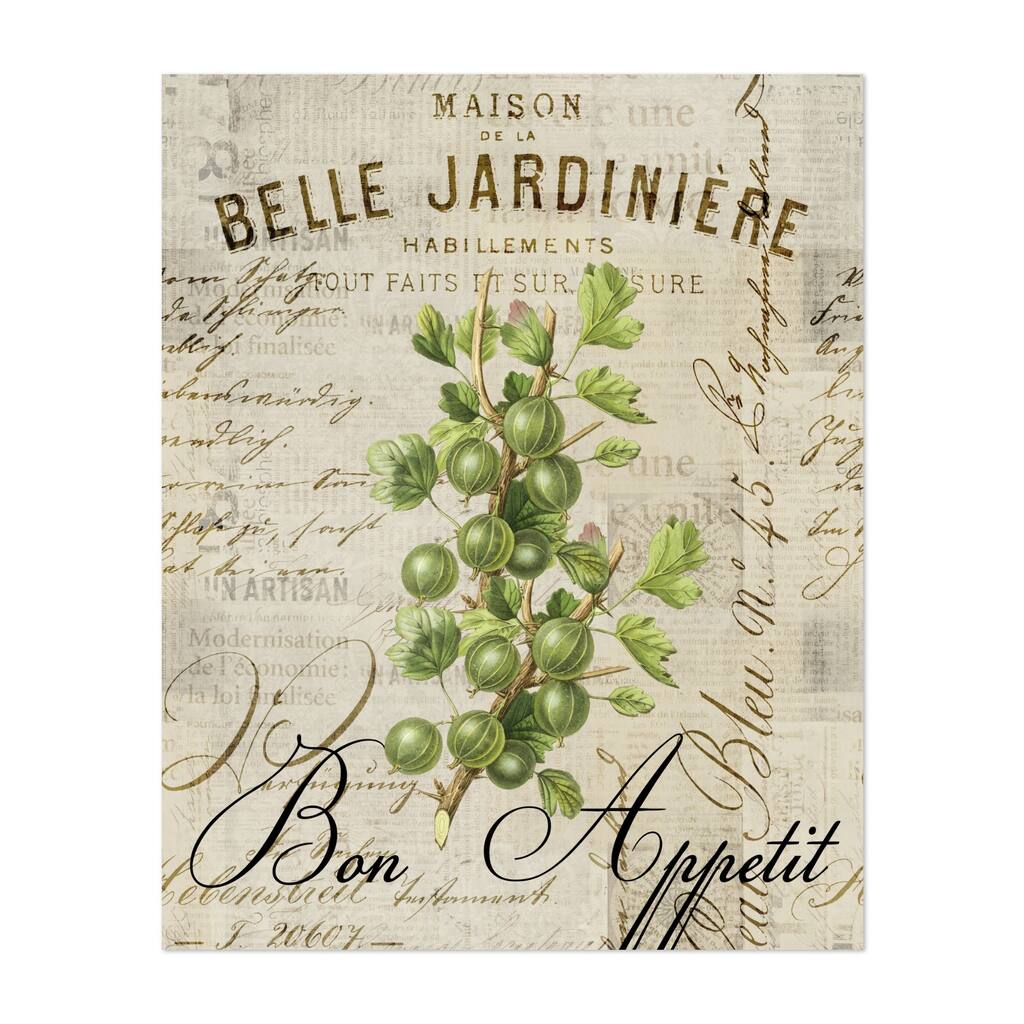 Vintage Food Illustration With Gooseberries Botany Art Print/Poster