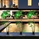 preview thumbnail 9 of 8, Lighted Palm Tree for Outside Patio Yard Party Pool
