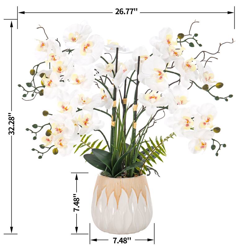7 Stems Real Touch Phalaenopsis Plastic Orchids with Green Leaf in White Ceramic Pot - 32.28" H x 26.77" W x 26.77" D