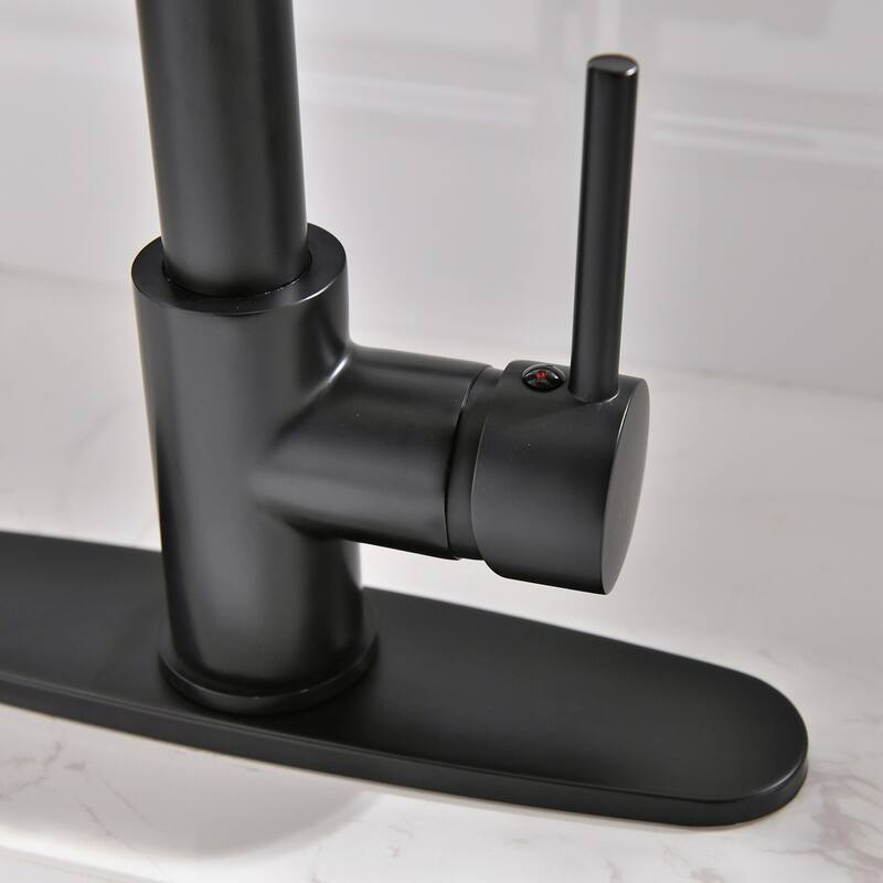 Black Single Handle Pull-out Kitchen Faucet with Drain Rack