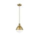 Option Clear / Brushed Brass