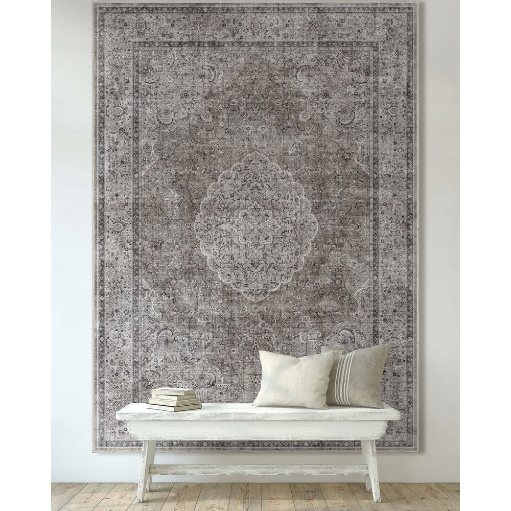 Well Woven Asha Odette Persian Oriental Vintage Area Rug