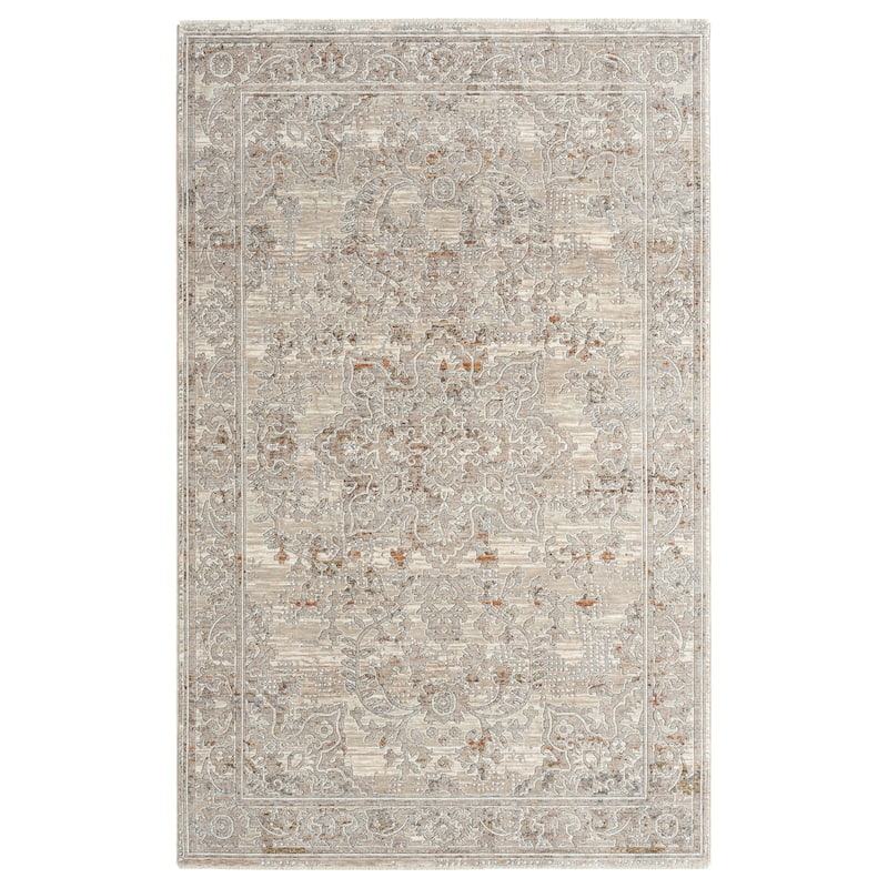 Amelia Collection Traditional Area Rug - 4' x 6' Rectangle - Beige/Vizon