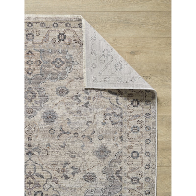 Domani Greige Distressed Luxe Traditional Area Rug