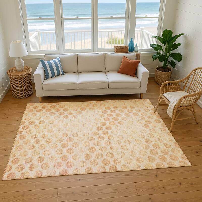 Premium Washable Super Soft Vintage Dotty Mayfield Rug
