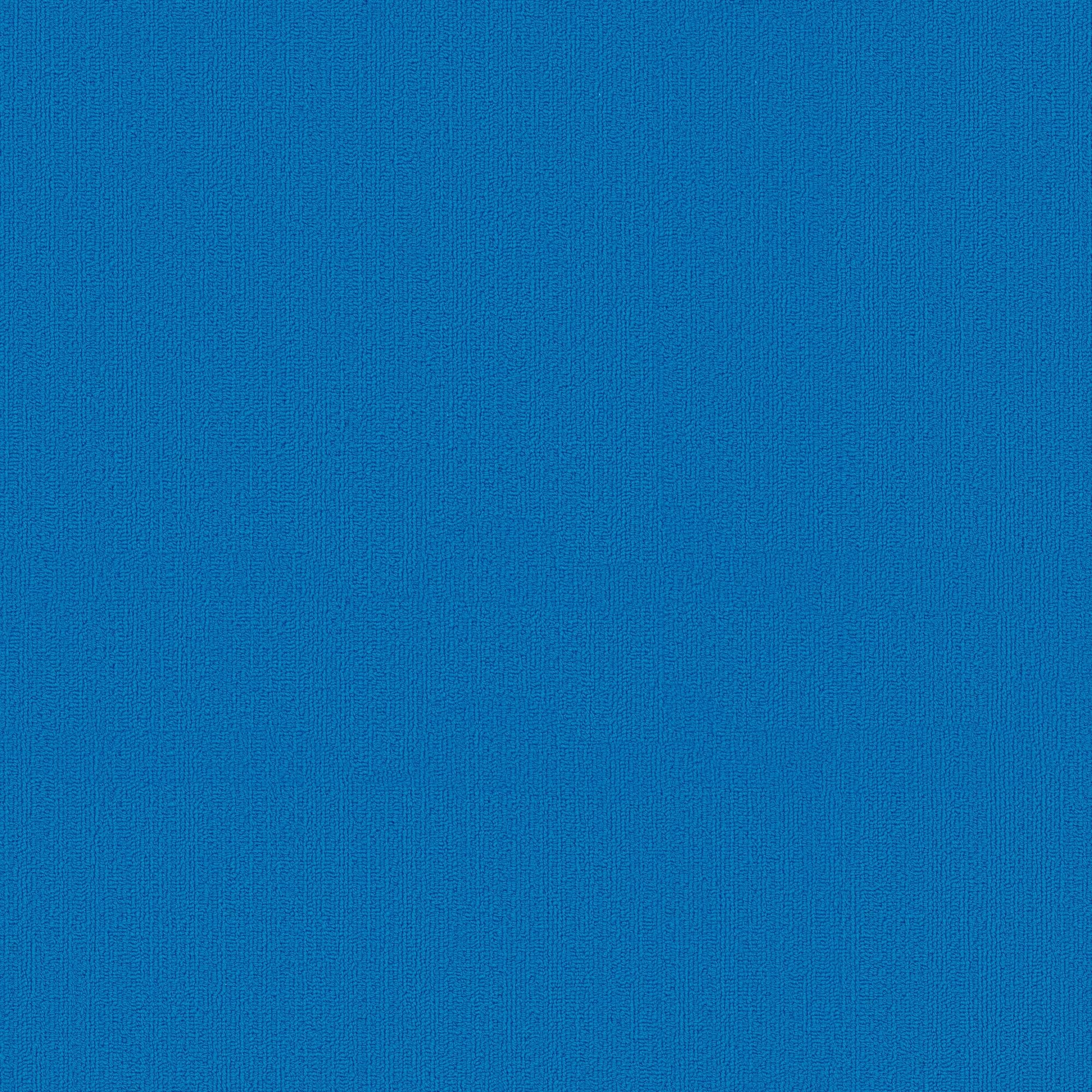 Shaw Philadelphia Commercial Color Accents TL 24" x 24" Glue Down