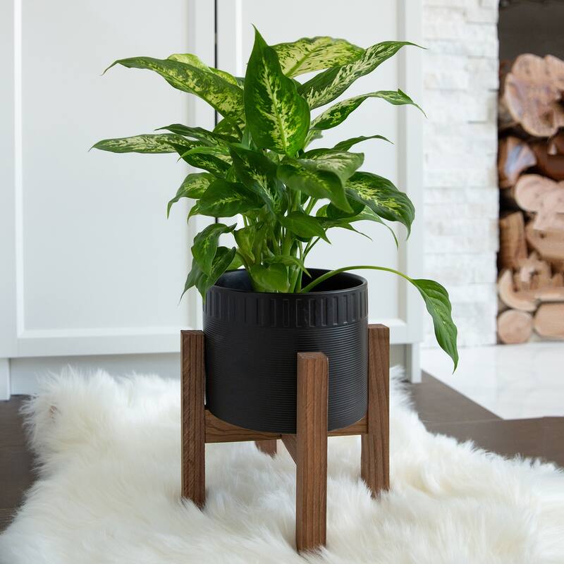 Mid-Century 8" CERAMIC DUMPLING POT ON WOOD STAND,Matte White