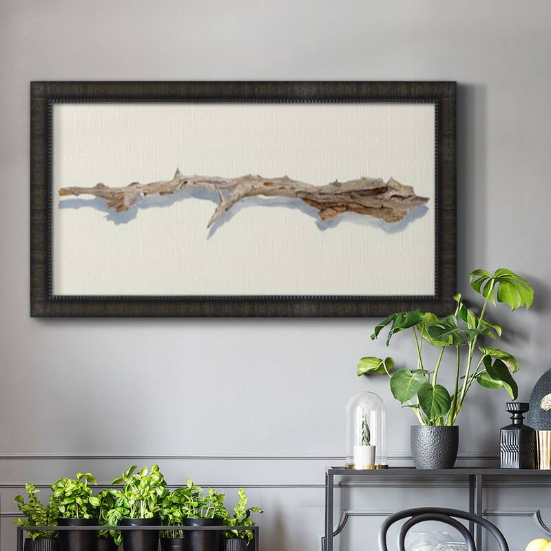Driftwood Study I Premium Framed Canvas- Ready to Hang