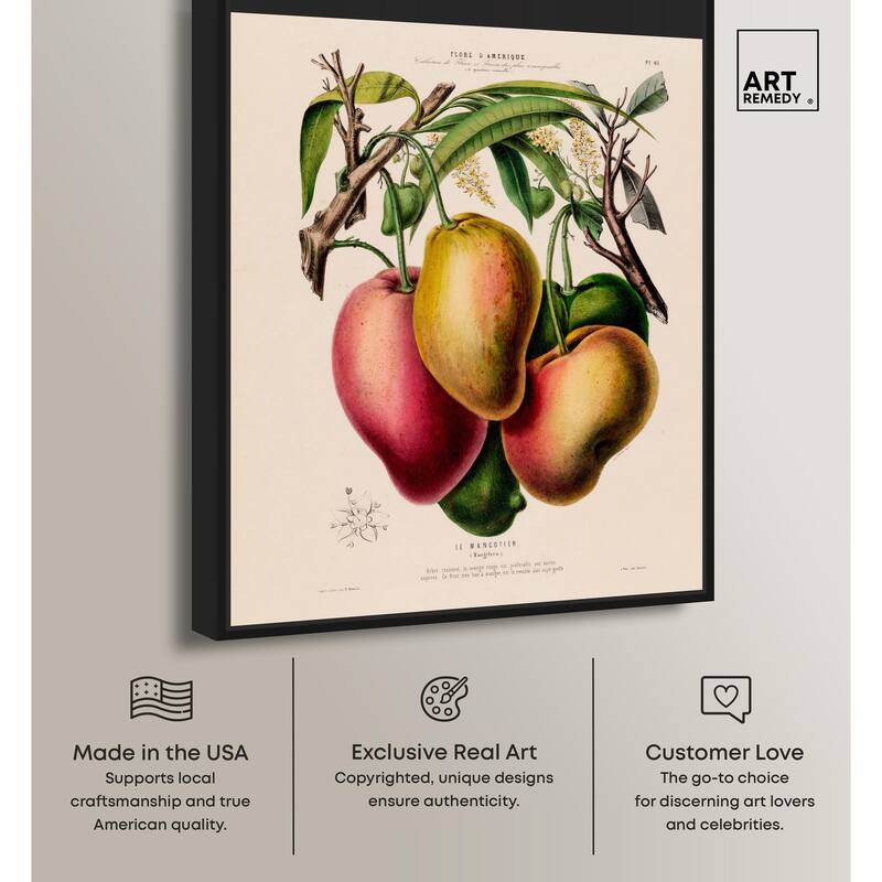Mangoes by Etienne Denisse Canvas by Art Remedy