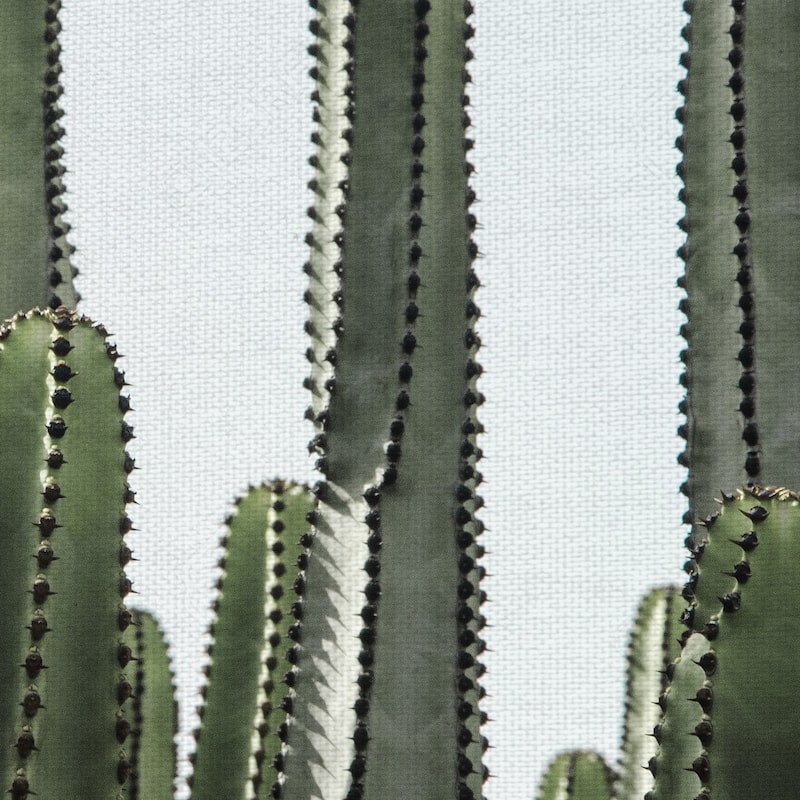 Desert Detail by Belle Maison Canvas Art Print