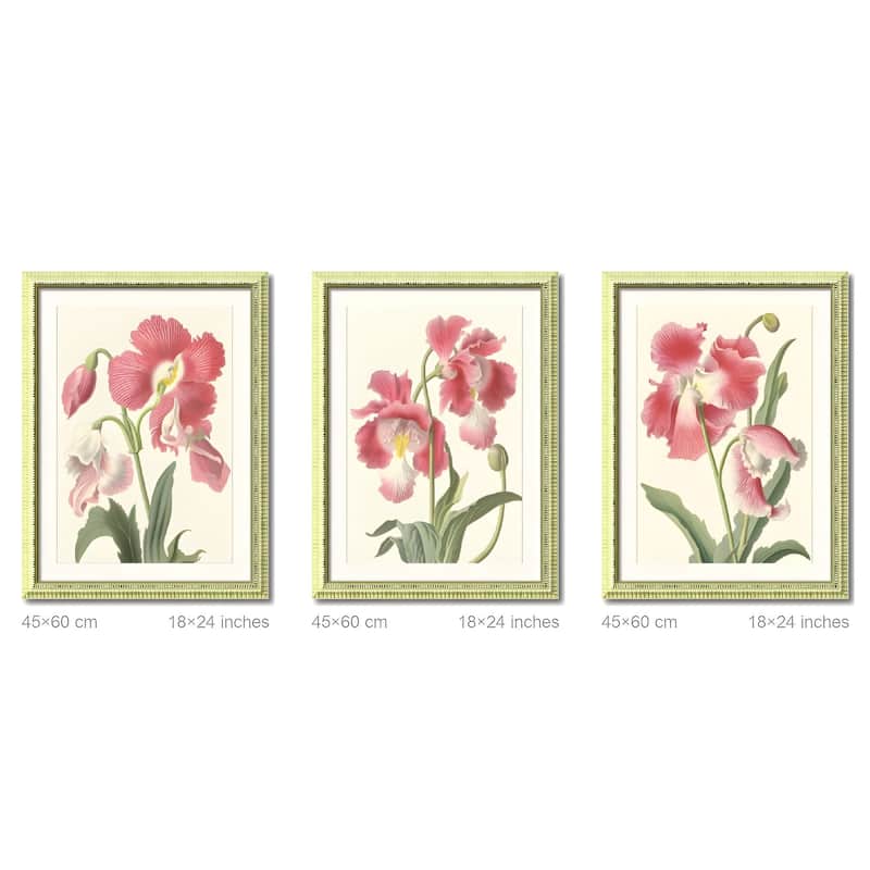 Set of 3 Pink Flower Framed Wall Art - Botanical Floral Prints with Wood Picture Frames, Antique Frame Style Wall Decor