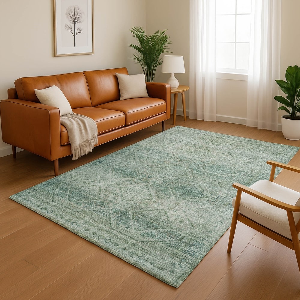Premium Washable Super Soft Boho Moroccan Mayfield Rug