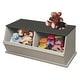 preview thumbnail 3 of 22, Taylor & Olive Lantana Two Bin Stackable Storage Cubby