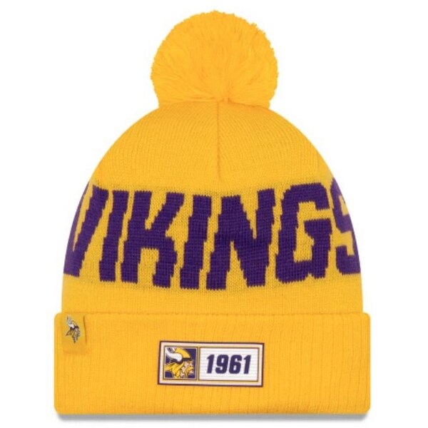 vikings stocking cap