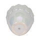 preview thumbnail 34 of 32, Plant Pot - Ivory Ceramic Round Iridescent Floral Crown, 6"