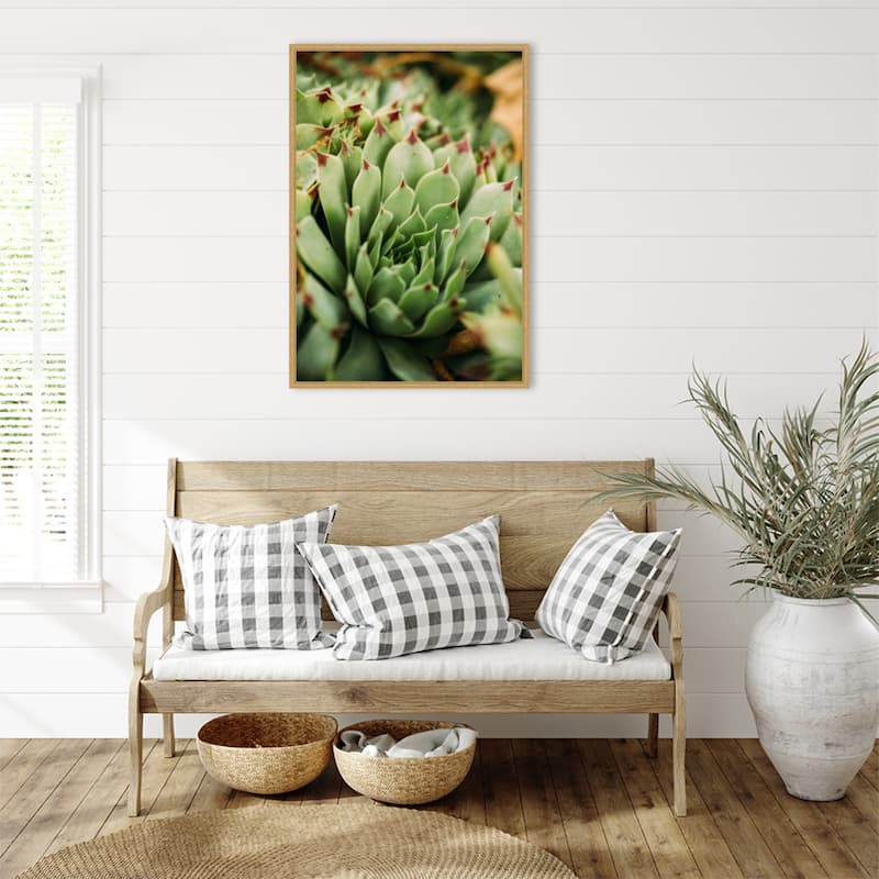 Succulent Whorl by Javier Pardina Framed Canvas Wall Art Print - Sylvie Bright Gold