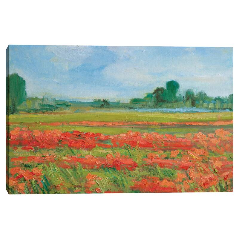 Living Coral Poppy Field by Alexi Fine Canvas Art Print