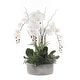 Real Touch Orchid Flower Arrangement in Stone Cement Pot - White - On ...