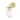 Mitzi by Hudson Valley Clara 1-light Bath Bracket with Clear Ribbed Glass