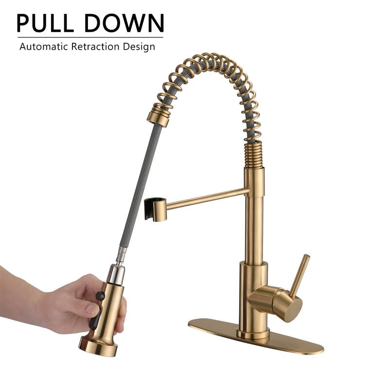 PROOX Single Handle Kitchen Sink Faucet with Pull Out Sprayer