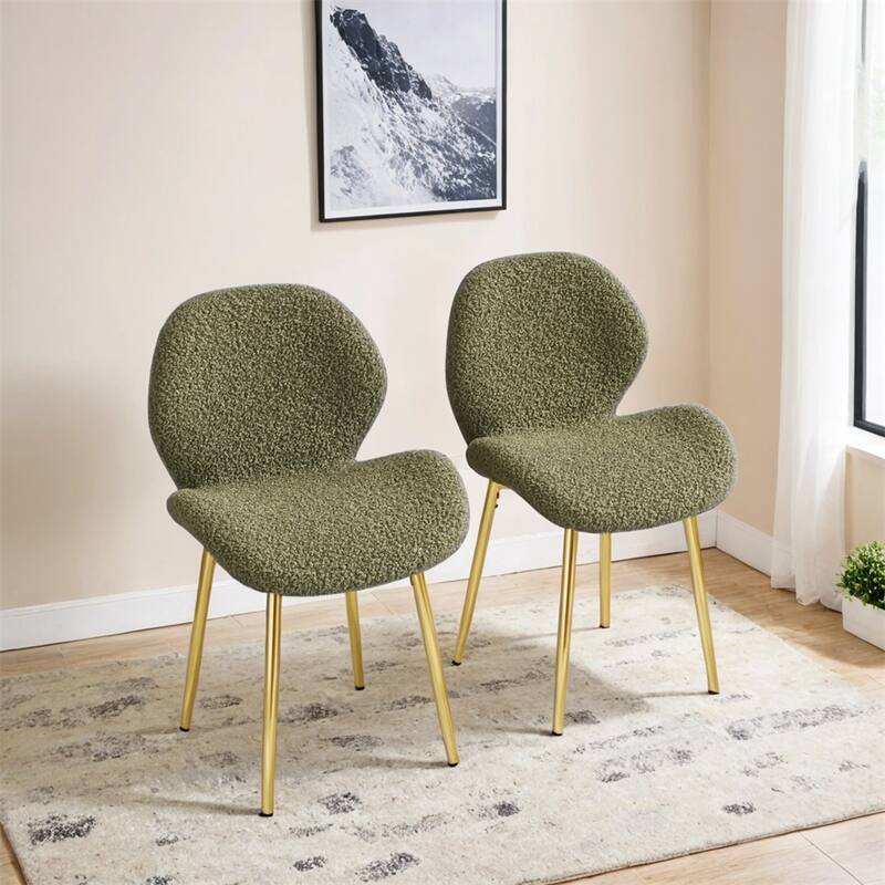Teddy Velvet Dining Chairs Set of 2 with Sturdy Gold Metal Legs