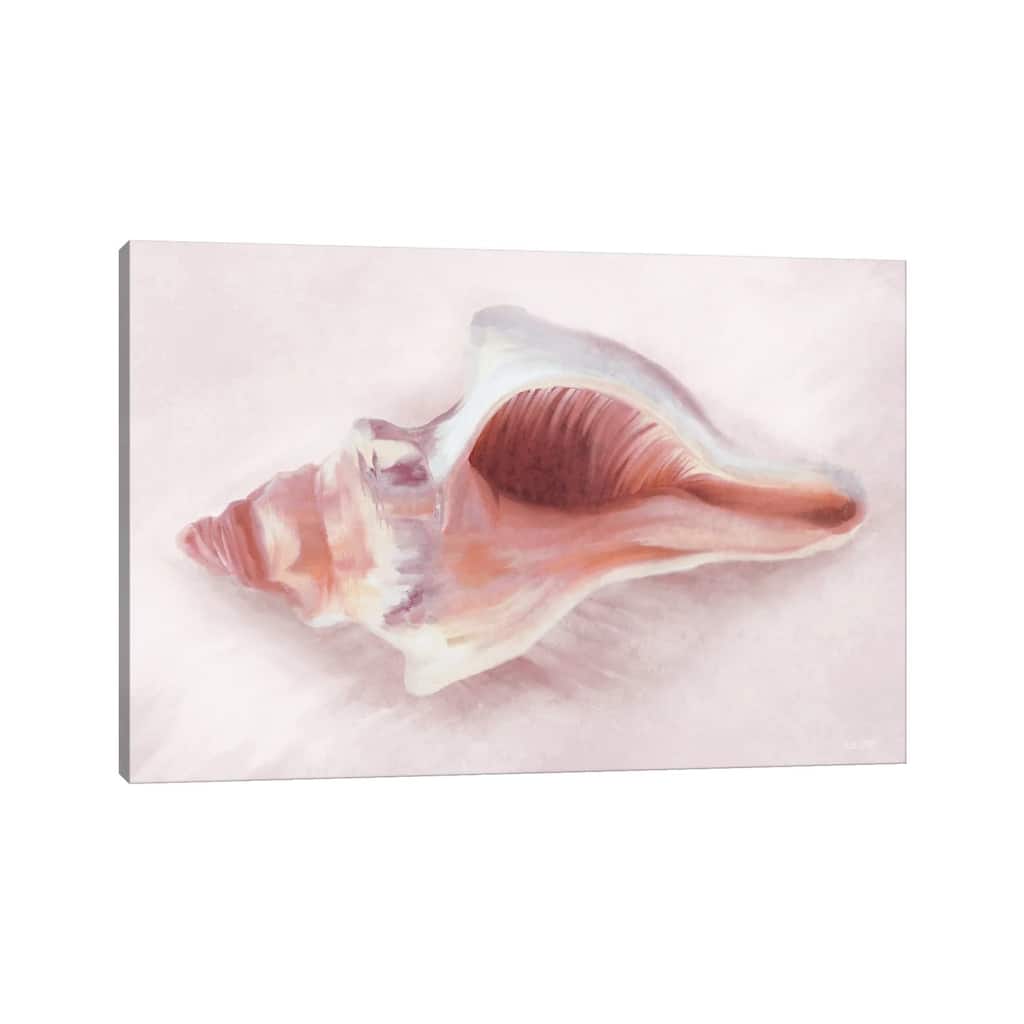iCanvas "Conch Shell Blush II" by House Fenway Canvas Print