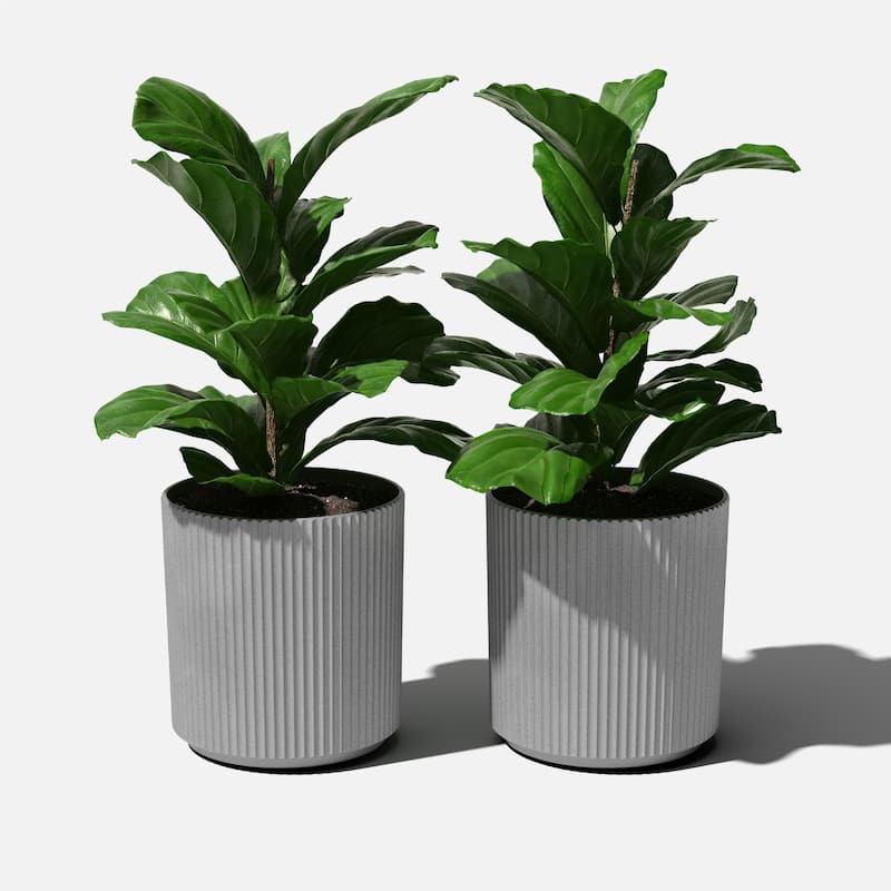 Veradek Demi Series Demi Round Planter