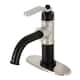 Option Matte Black / Brushed Nickel