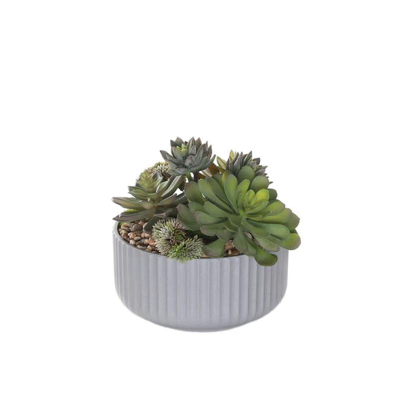 Succulents Arrangement with rocks in Gray Pot - Green, green gray
