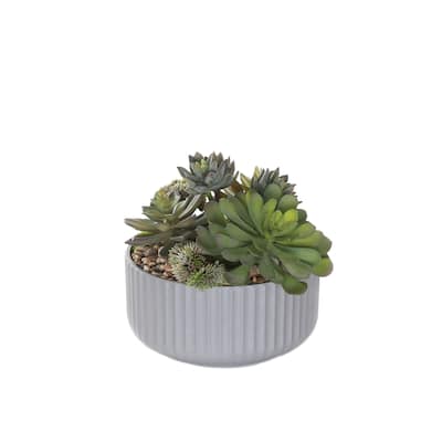 Succulents Arrangement with rocks in Gray Pot - Green, green gray