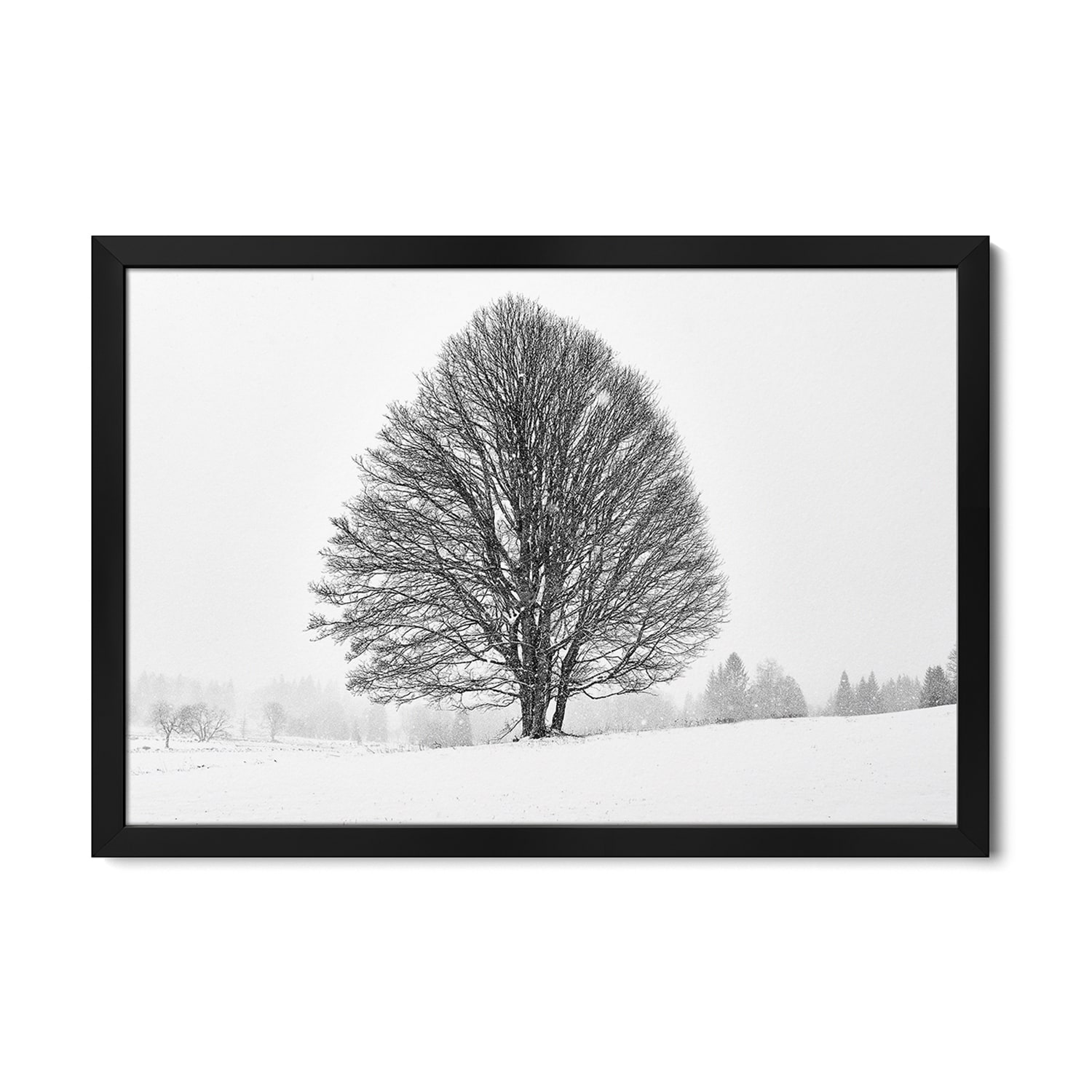 Lonely Tree Premium Framed Poster by Martin Froyda