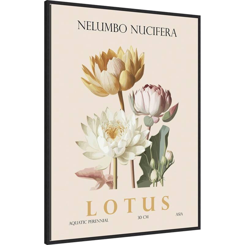 Vintage Botanical Lotus Illustration by Christopher Giampietro Framed Canvas Wall Art Print