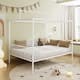 Option White