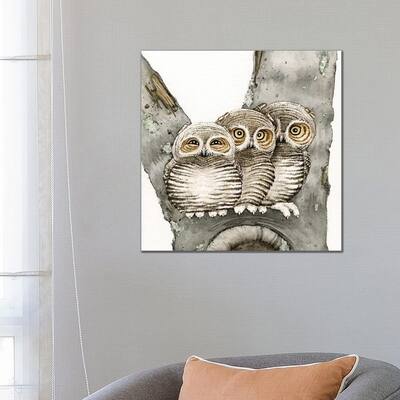 iCanvas "Three Owls" by Tracy Lizotte Canvas Print