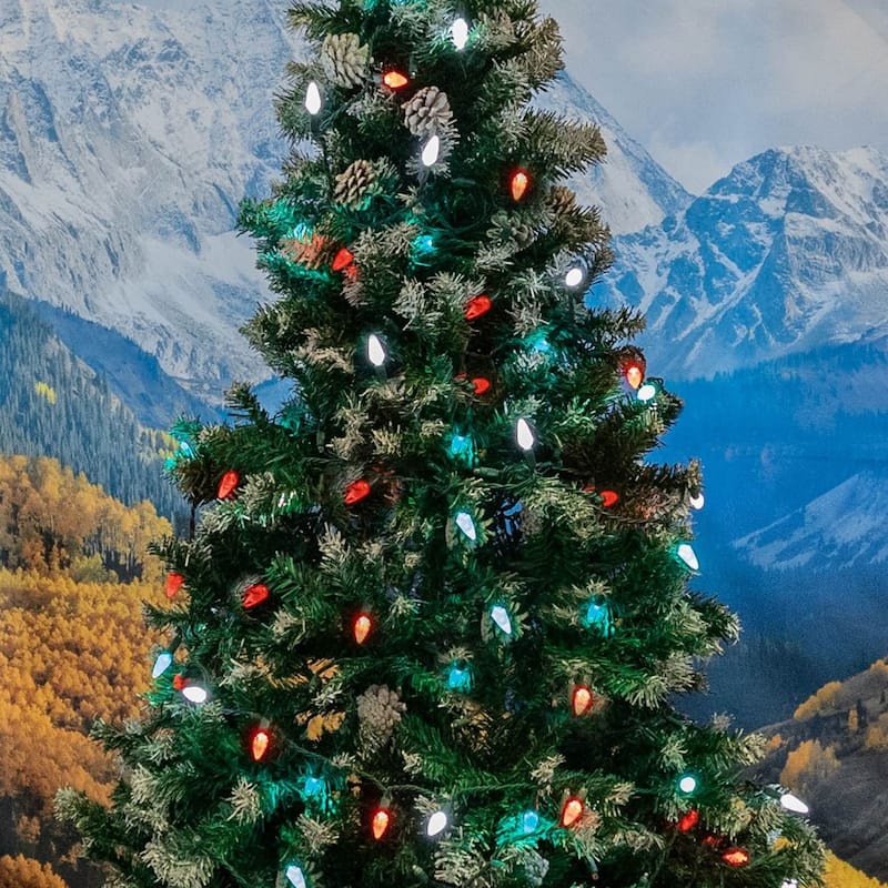 70 Light C6 LED Christmas Mini Light Set, Red/Green/Pure White, Green Wire, 24' - Large
