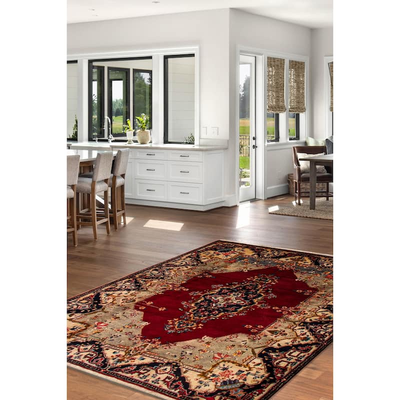 Anadol Navy, Red Rug 4'3" x 6'11" - 5'5 x 7'7
