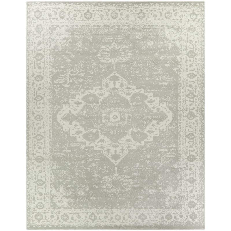 Nafisa Distressed Medallion Area Rug