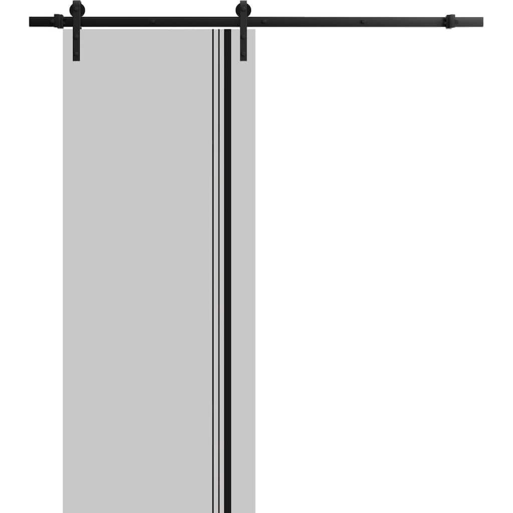 Sturdy Barn Door 36 x 80 Planum 0011 Grey Matte with 6.6FT