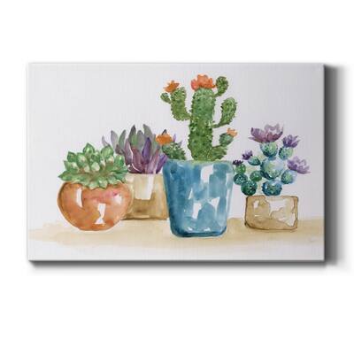 Summer Succulents II Premium Gallery Wrapped Canvas - Ready to Hang