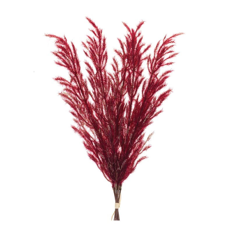 Burgandy Plume Bundle (Set of 6) - 8.5 x 3.5 x 32