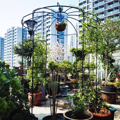 Outdoor Iron Garden Arbors Gazebo for Wedding Ceremony