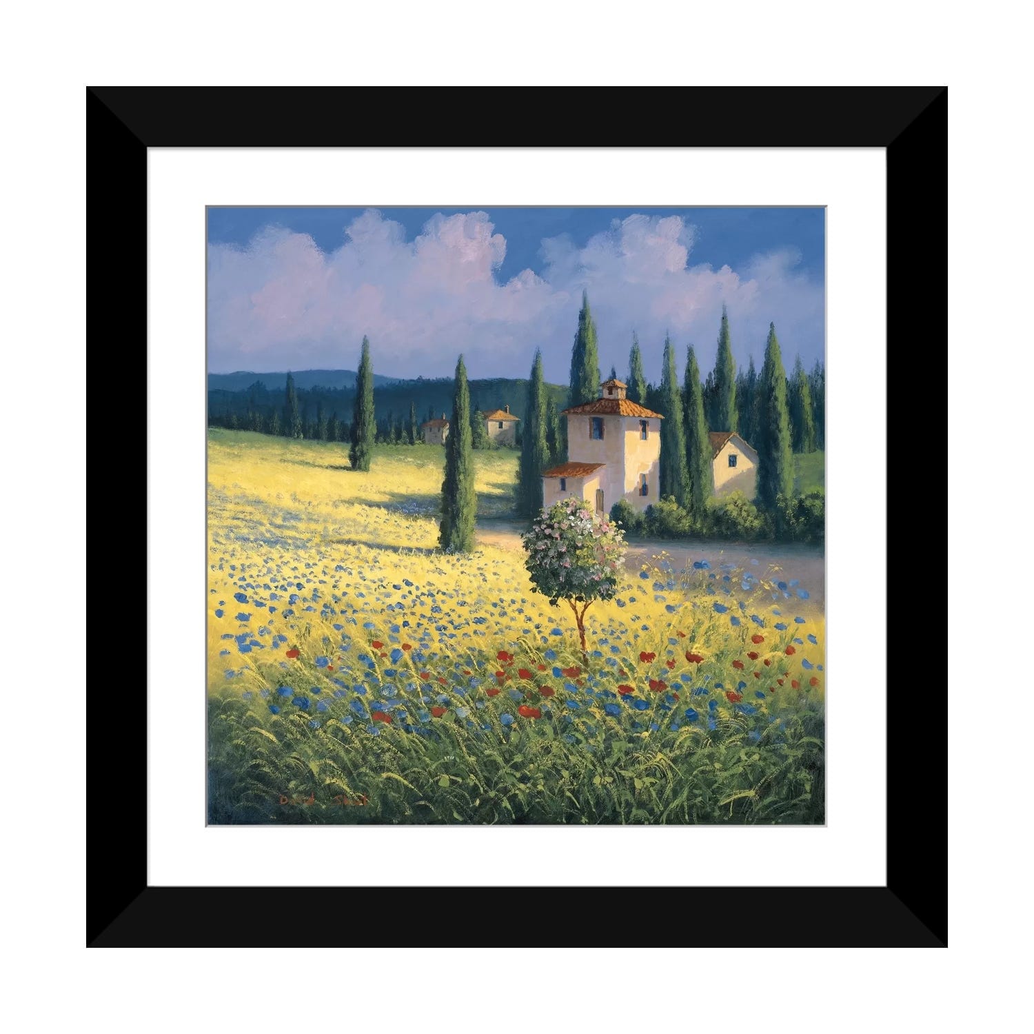 iCanvas "Tuscan Poppies I" by David Short