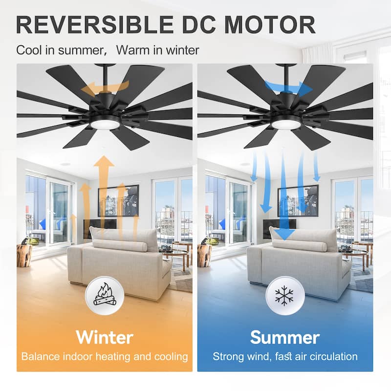 62/72-Inch Reversible 10-Blade Large Ceiling Fan with Light and Remote