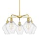 Option Satin Gold / Seedy