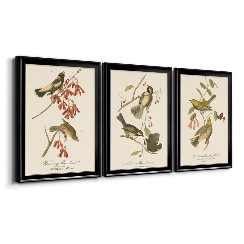 Wandering Rice Bird Premium Framed Canvas - Ready to Hang - Multi-Color