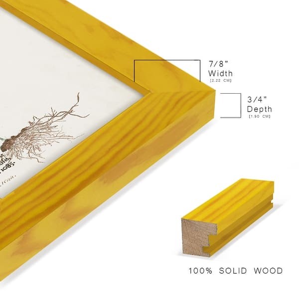 dimension image slide 7 of 21, Nature Printed Ferns IX -Framed Print w/glass-Cherry Red