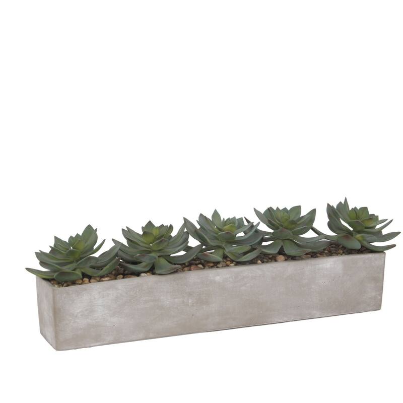 Faux Echeverias with Pebbles Succulent In Rectangular Pot - Green