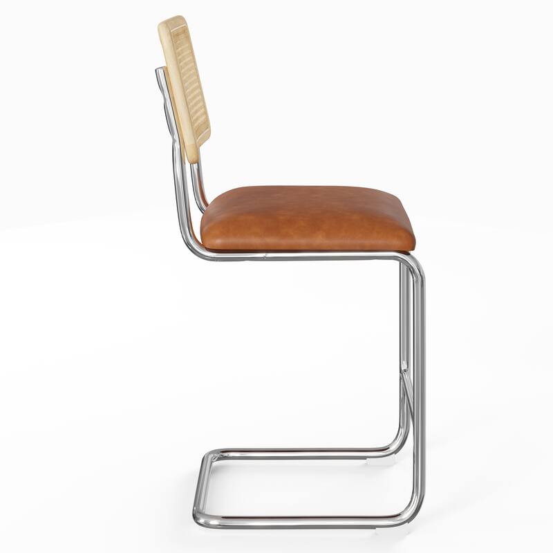 Hayward Cane Back Vegan Leather Counter Height Stool (Set of 2)