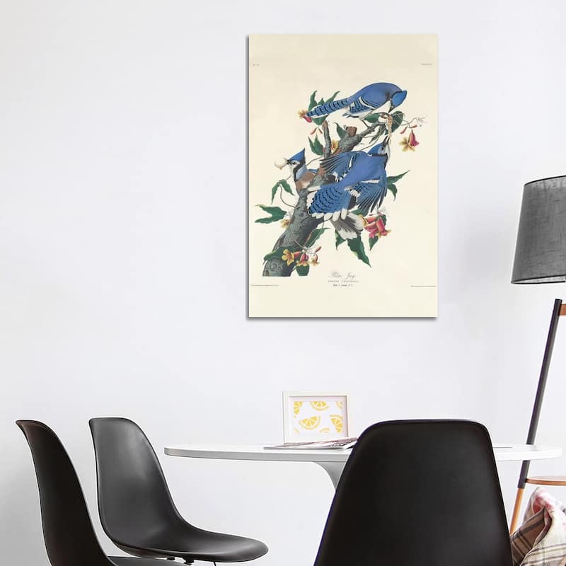 iCanvas "Blue Jay, 1831" by John James Audubon Canvas Print - 40x26x1.5