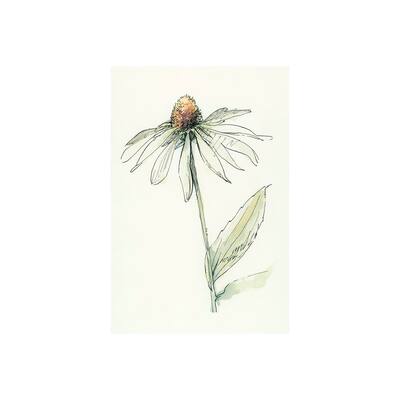 Echinacea II (20 x 30) Canvas Art Print